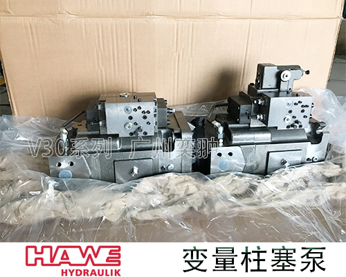 德国V30D-250 RDGN-2-1-05/LVN/100