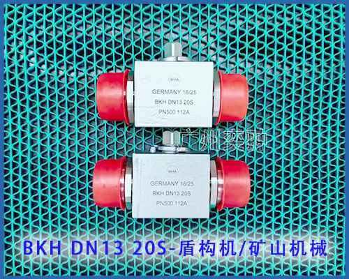德国BKH DN13 20S