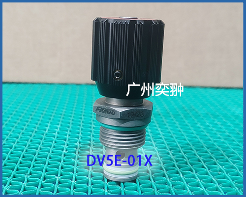 DV5E.jpg